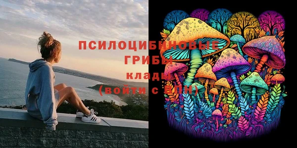 mdpv Навашино